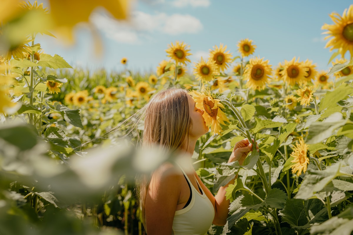 Smelled or Smelt: Which Is Correct?