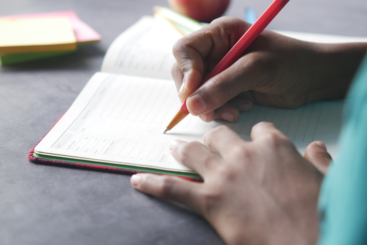 20 Types of Essays: Examples and Tips For Success